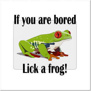 Lick a frog Posters and Art